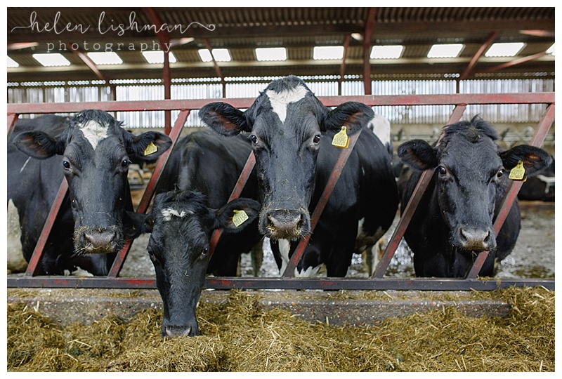 An Easter visit to Castley Farm