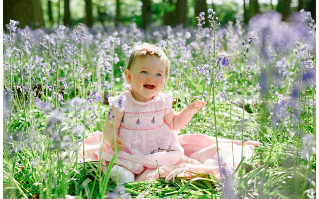 Bluebell Mini sessions | Harrogate